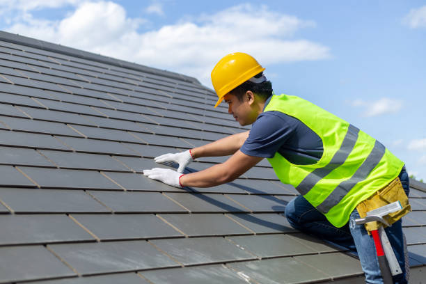 Best Best Roofing Contractors  in Montevideo, MN