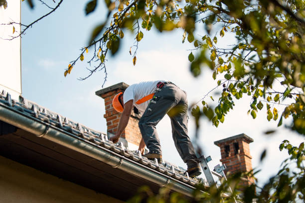 Roof Gutter Cleaning in Montevideo, MN