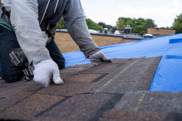 Best Slate Roofing Contractor  in Montevideo, MN