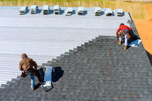 Best New Roof Installation  in Montevideo, MN