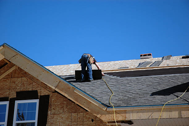 Best Roof Gutter Cleaning  in Montevideo, MN