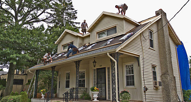 Best Flat Roof Repair Services  in Montevideo, MN